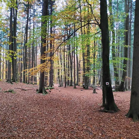 Eine Wundervolle Wohnung!